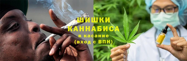 гидра Гусь-Хрустальный