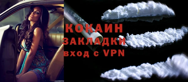гидра Гусь-Хрустальный