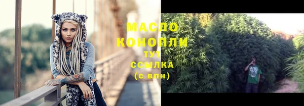 гидра Гусь-Хрустальный