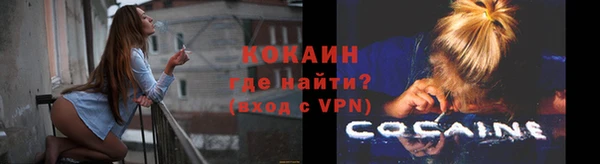 гидра Гусь-Хрустальный