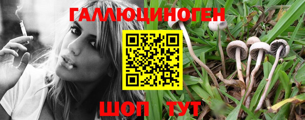 Галлюциногенные грибы Cubensis Нерюнгри